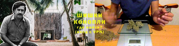 хмурый Белокуриха