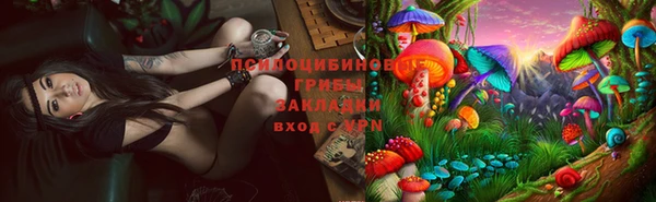 меф Няндома