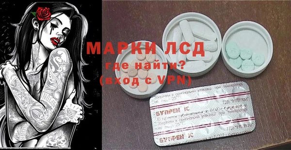 хмурый Белокуриха