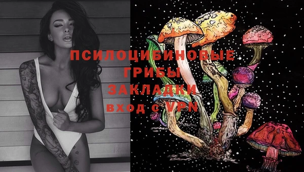 молекула духа Осташков