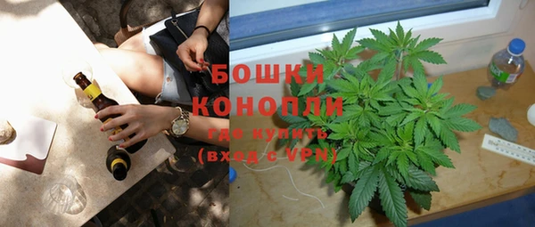 хмурый Белокуриха