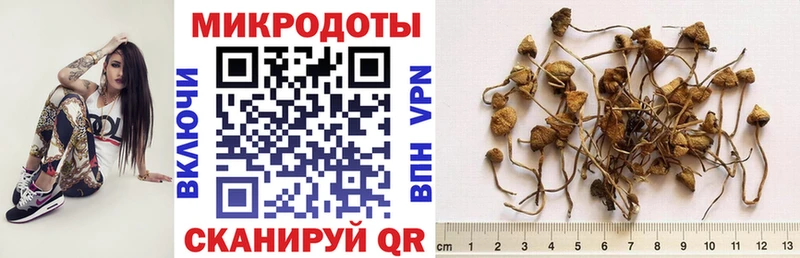 Галлюциногенные грибы мицелий Боровичи