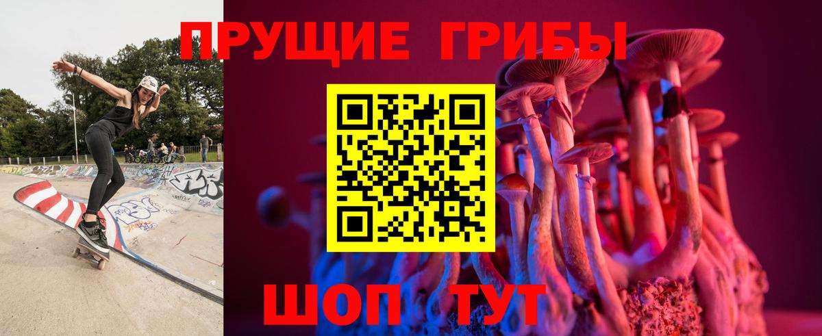 Галлюциногенные грибы прущие грибы  Боровичи 